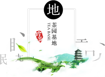 入链基地